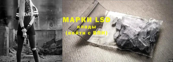 ГАЛЛЮЦИНОГЕННЫЕ ГРИБЫ Лабытнанги