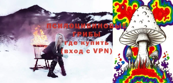ГАЛЛЮЦИНОГЕННЫЕ ГРИБЫ Лабытнанги