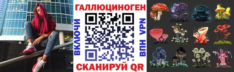 Галлюциногенные грибы Psilocybe  Бердск 